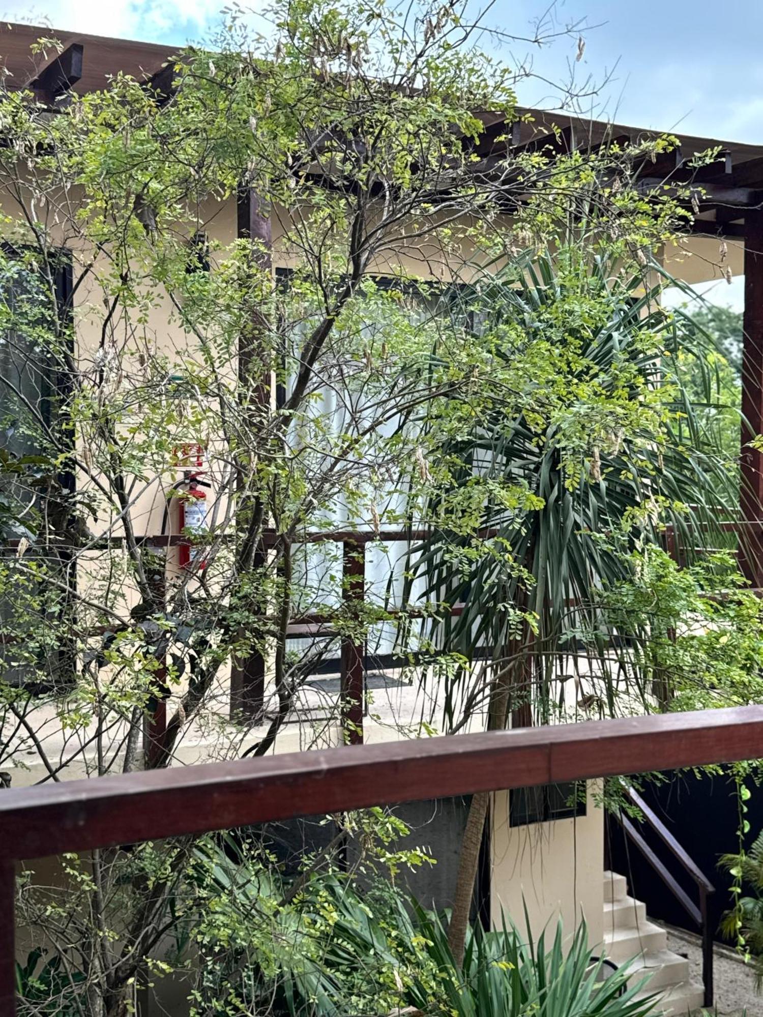Starfit Hotel Boutique Beachclub, Spa & Gym Included Tulum Exterior foto